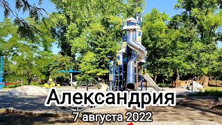 Александрия 7 августа 2022