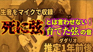 1年間大事に使用したベース弦が醸す音・新品弦との比較実験