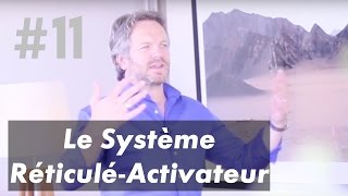 Le système Réticulé-Activateur