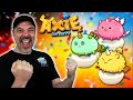 Axie Infinity Beginners Guide - How to Play & Win Arena Battles With A Plant, Beast, Bird Team