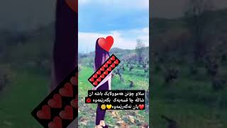 بەلێ یان نەخێر