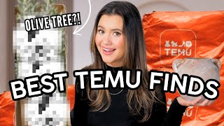 TESTING TEMU: huge haul *$27 Olive tree?!*