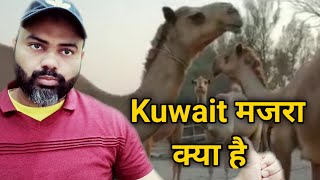 कुवैत मजरा में काम कैसे होता है | Kuwait majra visa