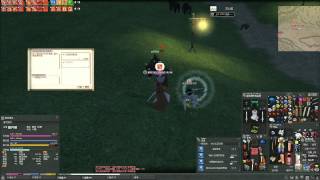 瑪奇(Mabinogi) 夥伴任務條件無效 Parner's quest's need bug