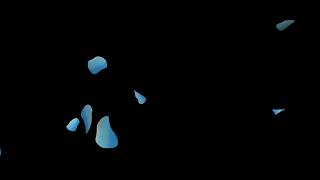 Flower petals overlay 4K black screen effect