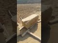 lifting of 800kg stone through roller by innovative techniques issb technique 800kgdeadlift