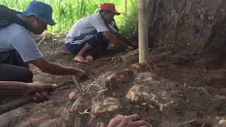 BPCB Trowulan Lakukan Ekskavasi Candi Gedog