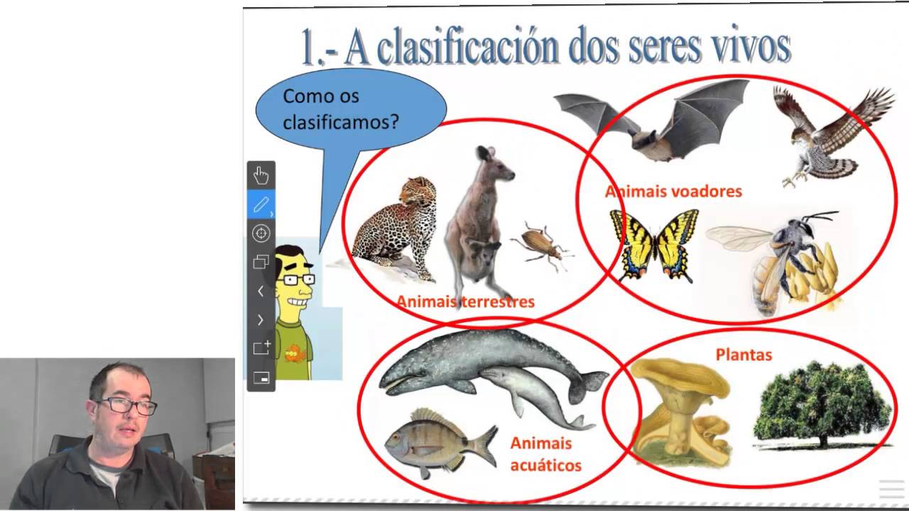 Biodiversidade E Concepto De Especie. - YouTube