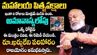 Mahalaya Paksham 2024 | కుటుంబ శాపం నుండి బ‌య‌ట‌ప‌డే ఏకైక రెమెడీ | Pitru Dosha Pariharam | TSW