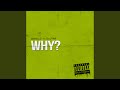 Why (feat. Olutimi)