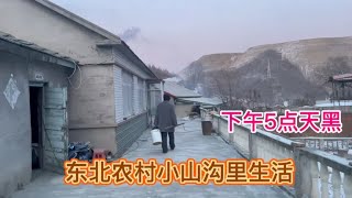 东北农村小山沟晚上5点天黑，家里有鸡鸭鹅狗和牛羊要喂，闲不着