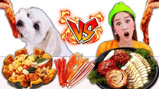 Dog Food VS Human Food Challenge 강아지 사람 음식 챌린지 먹방 Mukbang JiniYum 지니얌