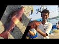 kokan fishing first catch of the year #latepost red snapper (tamboshi) on live bait