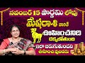 మేష రాశి వారికి ఊహించనిది దక్కబోతుంది| Mesha Rashi Phalalu November 2024 | Aries 2024 | 9MaxTv