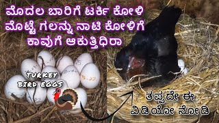 putting turkey birds eggs for incubate|| ಮೊದಲ ಬಾರಿಗೆ ಟರ್ಕಿ ಕೋಳಿ ಮೊಟ್ಟೆಗಳನ್ನು  ಕಾವುಗೆ ಆಕುತ್ತಿಧಿರಾ🤔