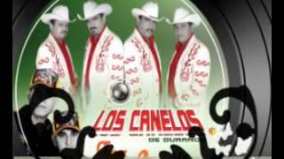 los canelos de durango el scrapy