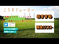 【j1第26節・プレビュー】試合前徹底分析【アルビレックス新潟vs京都サンガfc】