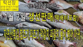 1월 2일, 자연산 횟감, 참조기, 파조기, 먹갈치, 파갈치, 풀치, 병어, 아귀, 1차 판매 안내입니(탁선장 목포 남도농수산 010 3167 7150. 010 9871 0441)