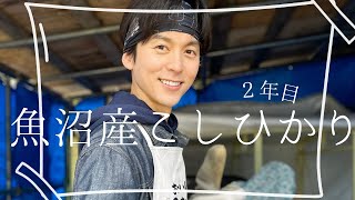 【２０２４年①】魚沼産コシヒカリ、作りま〜す！