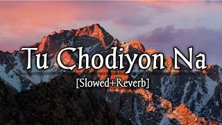 Tu Chodiyon Na || Lofi Song || Slowed+ Reverb || Ronit Vinta || Cover By Raj's Lofi Edit Song