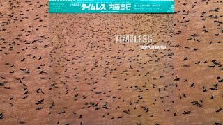 Tadayuki Naitoh - Timeless - LP (1985) Ambient Field Recording