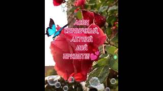 💕 Доброе утро 🦋 Моим Друзьям сердечный привет 🌹💯☀️