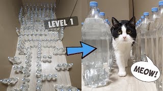 Mission Impossible. Bottle Maze With Water For The Cat. 3 Levels