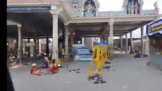 Karamadai vlog // karamadai ranganathar temple// Coimbatore area places