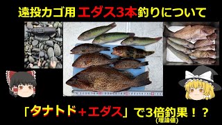 【ゆっくり解説】新!?遠投カゴ用エダス３本釣りについて #遠投カゴ　#タナトド