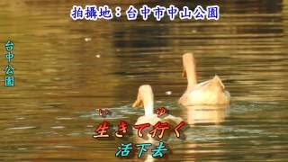 ふたり川( 雙人河2006)(日語~石原詢子+翻譯)銘哥翻唱