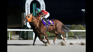 【佐賀競馬】第66回 花吹雪賞（2025.1.26）