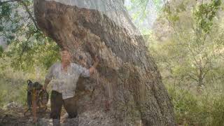 paisajes-huasteca-santa catarina