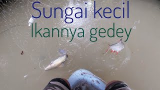 TIDAK  DI JANGKA SUNGAI KECIL KAMPUNGNYA IKAN BESAR...