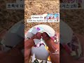 초록색 아님 개쌉어디#satisfying #oddlysatisfying #egg #slime #fidget #알고리즘