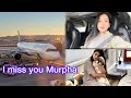 Conference calling✈️🦋Mumma miss you a lot Murpha🥺❤️