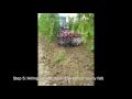 winter protection of grapevines by cane burial