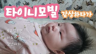 둘째관찰일지. 순식간에 지나가는 꼬물이시절 즐기는 중