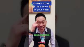 Stuffy Nose? Dig a ditch in your head to drain out the congestion!