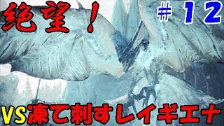 [MHWI]ソロでストーリークリア目指す！凍て刺すレイギエナ編#12[モンハンアイスボーン]