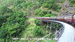 オーストラリアの旅 2016 キュランダ高原鉄道に乗り「世界の車窓から」の景色を眺める