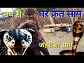 जहरीला सांप घर से घर में पकड़ा गया || snake Ranjeet group