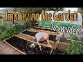 Planting Garlic and improving the garden for winter