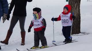 Young Skiers Brave the Cold at 12th Annual Barnelopet