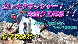 【磯釣り】ロッドクラッシャークエ(アラ)現る！！沖ノ島・夏マサ開幕！青物神経締め！！