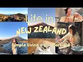 [VLOG] Ordinary days in New Zealand | Grocery haul | Dinner under $10 | New Zealand 