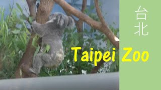 台北市立動物園の動物たち（Animals at Taipei Zoo）