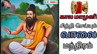 காலமாமுனி வாலை சித்தி மந்திரம் | Kalamamuni valai siththi manthiram🧘‍♂️