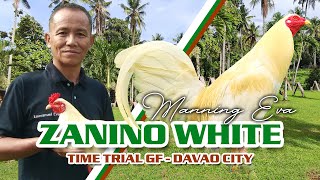 FARM VISIT: ZANINO WHITE of Mr. Manning Eva - TIME TRIAL GF