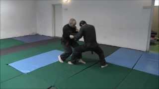 Takagi-Yoshin-Ryu, Bujinkan Ninjutsu Israel, Miky Rosner