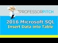 SQL Studio: SQL Insert Data Into Table [Beginners]